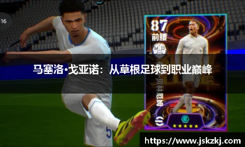 bsports官网入口